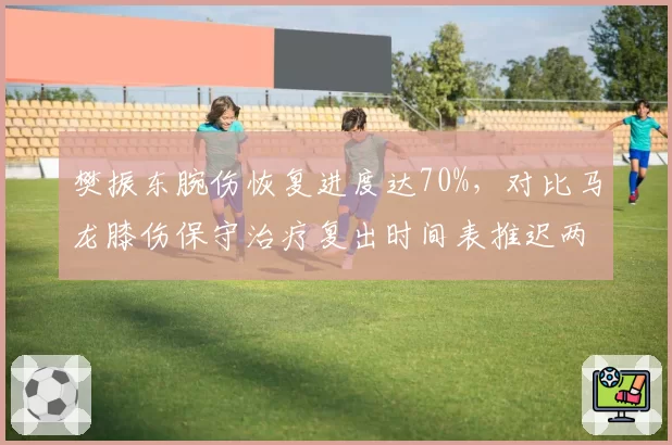 樊振东腕伤恢复进度达70%，对比马龙膝伤保守治疗复出时间表推迟两周，国乒老兵伤病管理差异显著