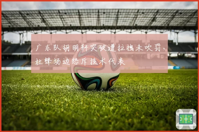广东队胡明轩突破遭拉拽未吹罚,杜锋场边怒斥技术代表