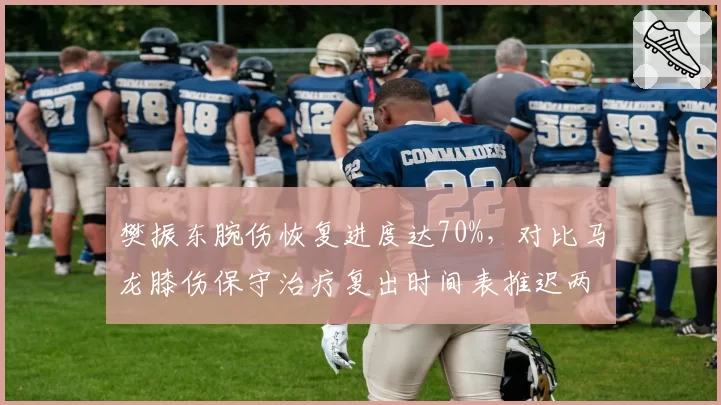 樊振东腕伤恢复进度达70%，对比马龙膝伤保守治疗复出时间表推迟两周，国乒老兵伤病管理差异显著